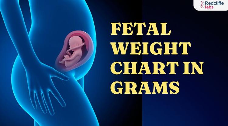 Fetal Weight Chart in Grams: Everything You Need to Know