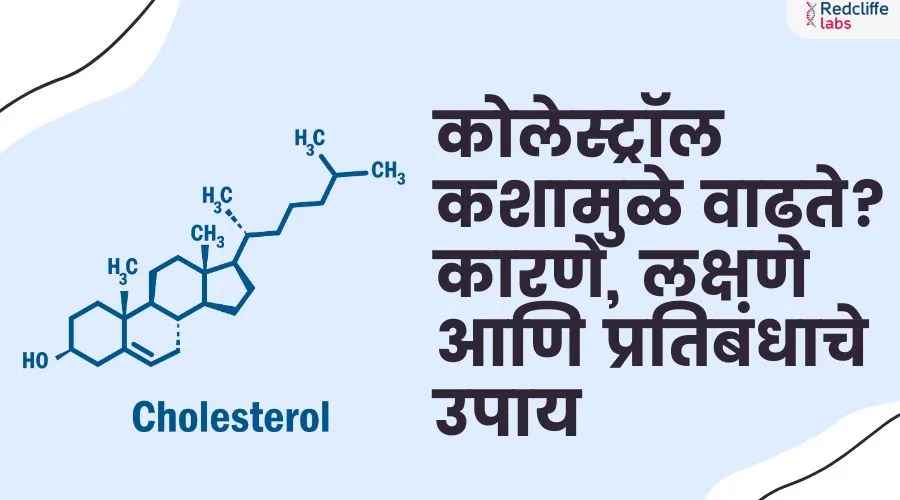 कोलेस्ट्रॉल कशामुळे वाढते? कारणे, लक्षणे आणि प्रतिबंधाचे उपाय
