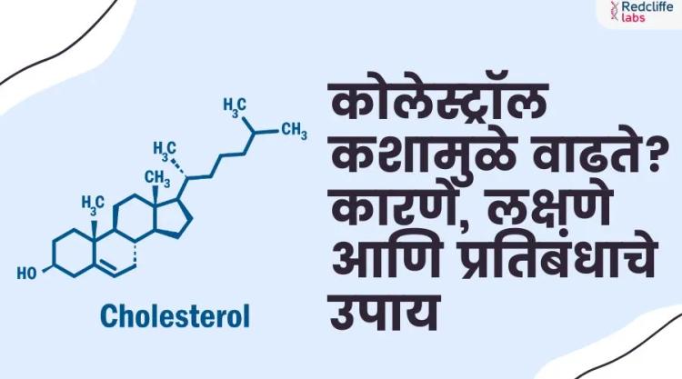 कोलेस्ट्रॉल कशामुळे वाढते? कारणे, लक्षणे आणि प्रतिबंधाचे उपाय