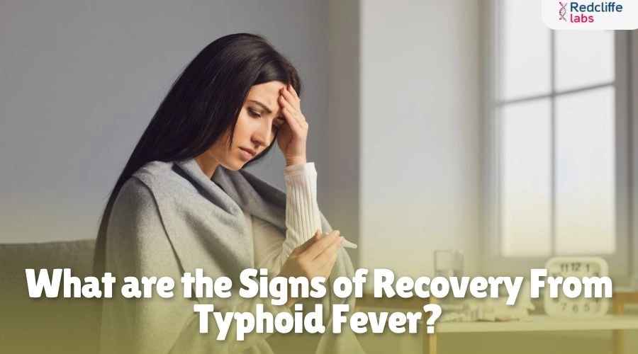 What are the Signs of Recovery From Typhoid Fever?