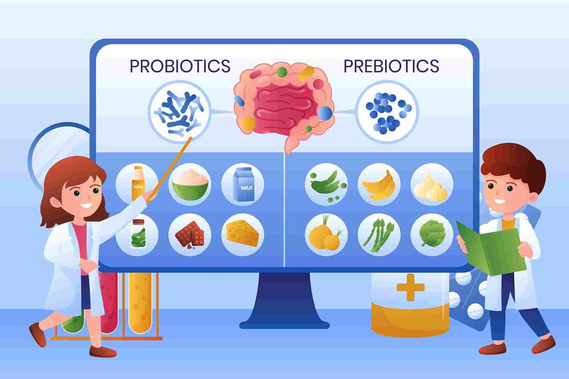 What Is The Difference Between Prebiotics and Probiotics?