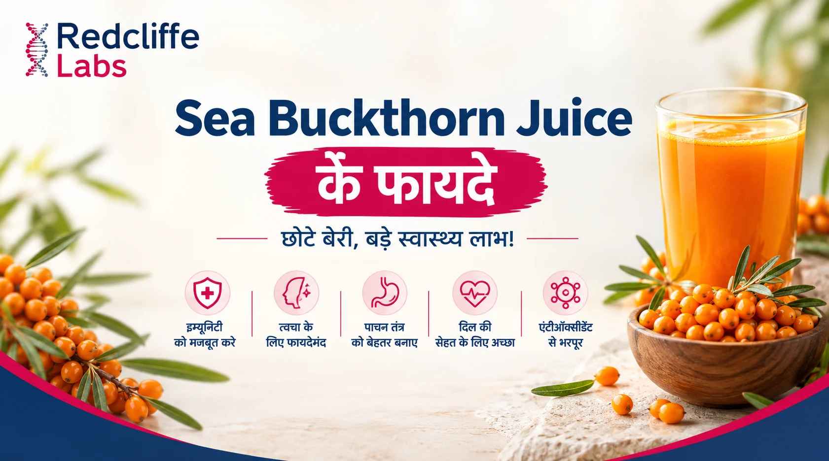 Sea Buckthorn Juice Benefits in Hindi: जानें इसके फायदे