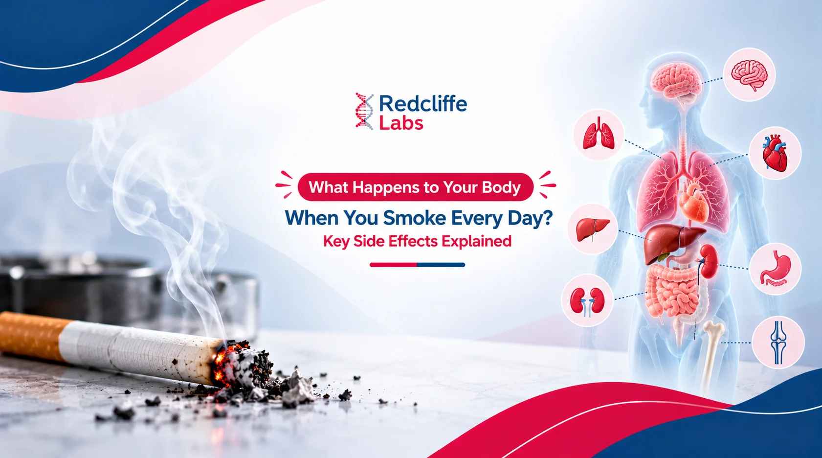 What Happens to Your Body When You Smoke Every Day? Key Side Effects Explained