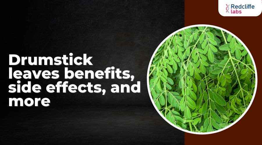 Drumstick Leaves Benefits, Side Effects, and More