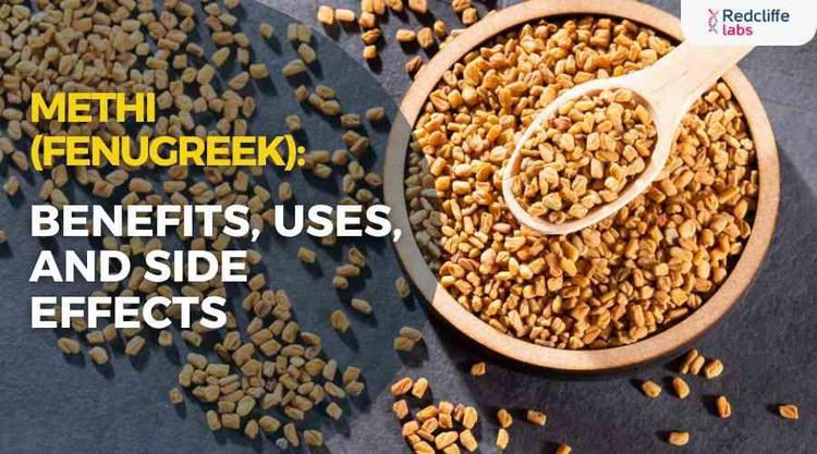 Methi (Fenugreek): Benefits, Uses, And Side Effects