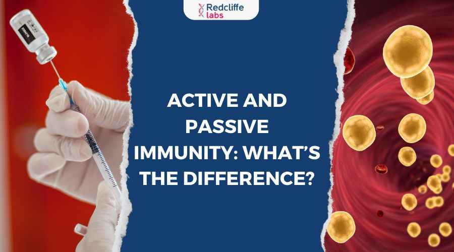 Active and Passive Immunity: What’s the Difference?