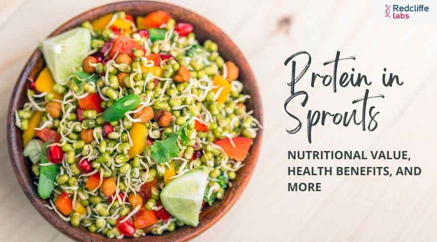 Protein in Sprouts: Nutritional Value, Health Benefits, and More