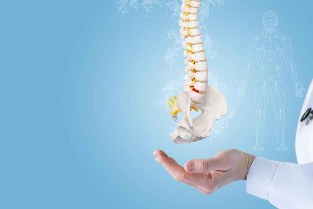 Osteoporosis Meaning in Bengali: স্ববিস্তারে আলোচনা করো