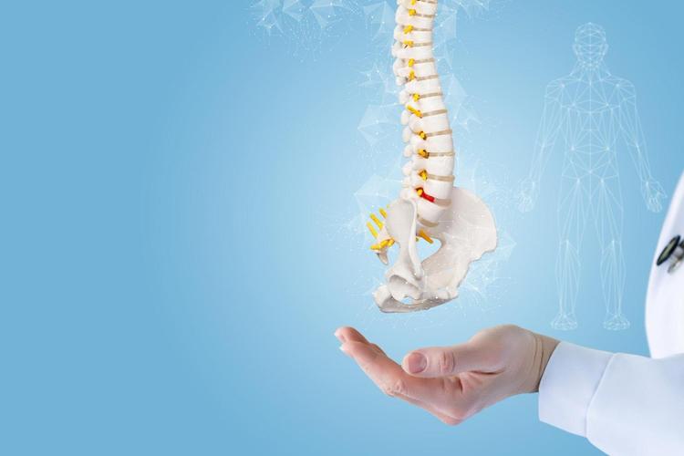 Osteoporosis Meaning in Bengali: স্ববিস্তারে আলোচনা করো
