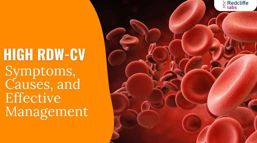 High RDW-CV: Symptoms, Causes, and Effective Management
