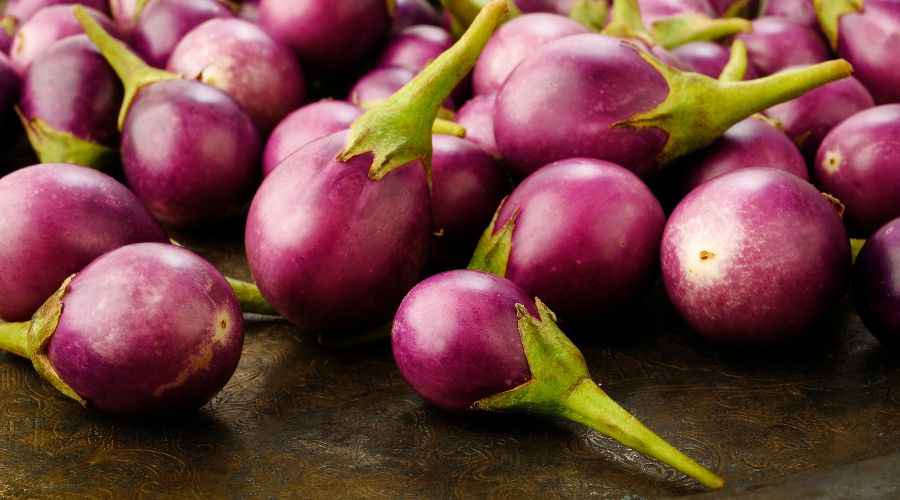 Brinjal (Eggplant) Benefits, Uses, Side Effects & Risks