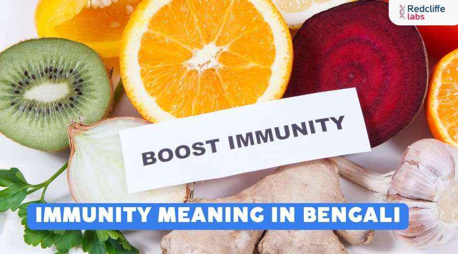 Immunity Meaning in Bengali: সংজ্ঞা, উপকারিতা ও গুরুত্ব জানুন