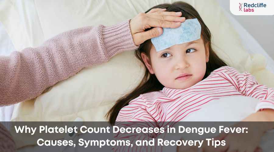 Why Platelet Count Decreases in Dengue Fever: Causes, Symptoms, and Recovery Tips