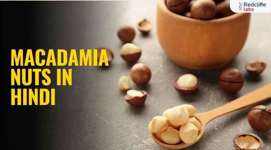 Macadamia Nuts in Hindi (मैकाडेमिया नट - पूरी गाइड)