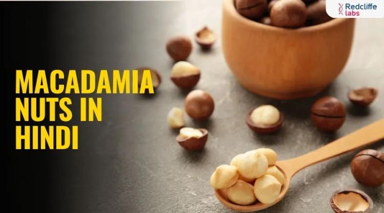 Macadamia Nuts in Hindi (मैकाडेमिया नट - पूरी गाइड)