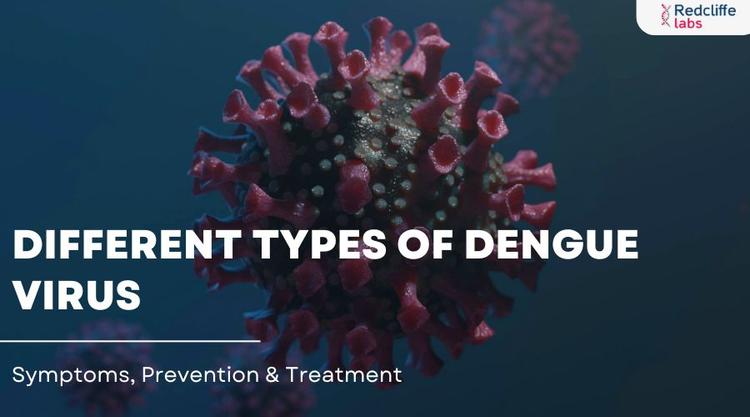 Different Types of Dengue Virus: Symptoms, Prevention & Treatment