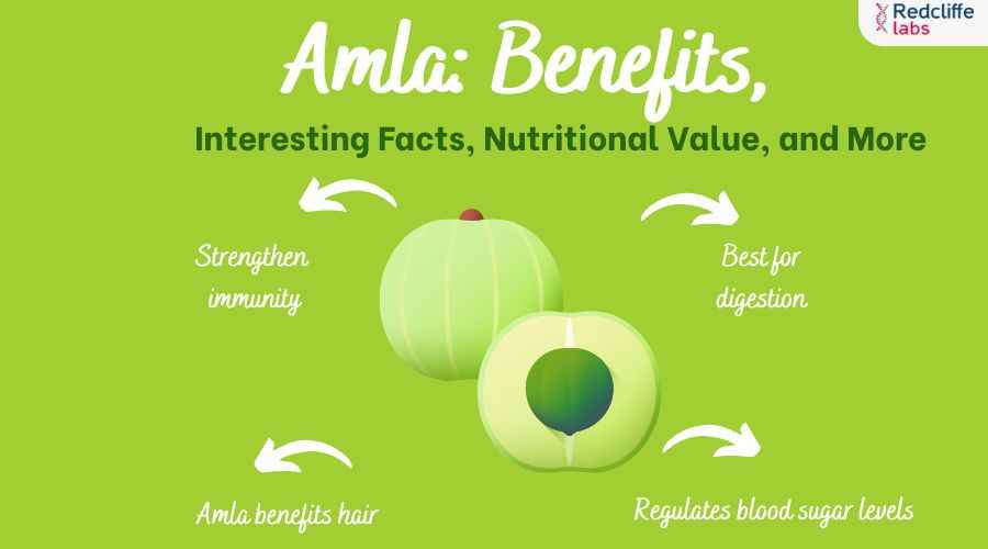 Amla: Benefits, Interesting Facts, Nutritional Value, and More