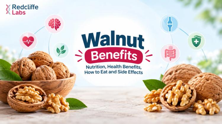 Walnut Benefits: Nutrition, Health Benefits, How to Eat and Side Effects