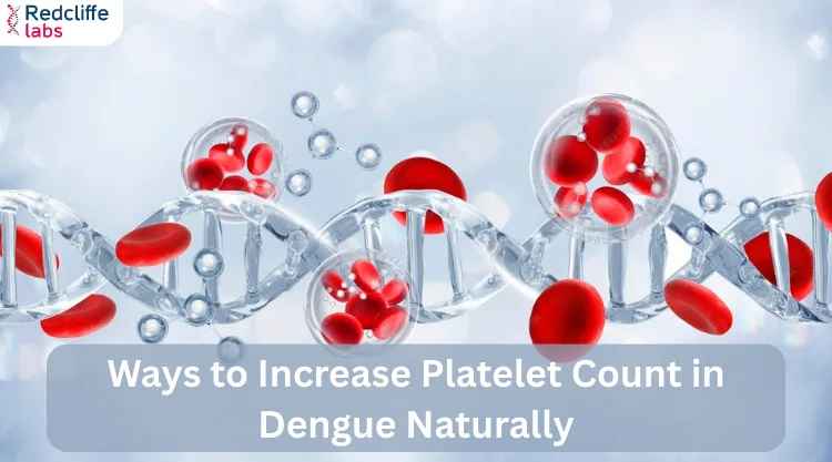 Ways to Increase Platelet Count in Dengue Naturally