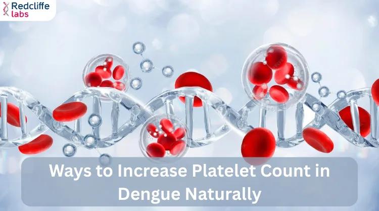 Ways to Increase Platelet Count in Dengue Naturally