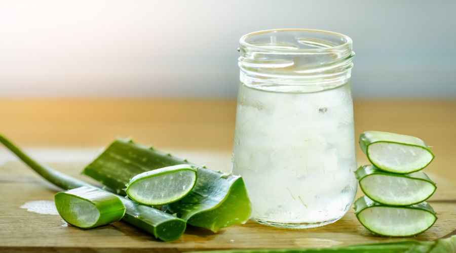 Aloe Vera Juice Benefits in Hindi: स्वास्थ्य लाभ और उपयोग