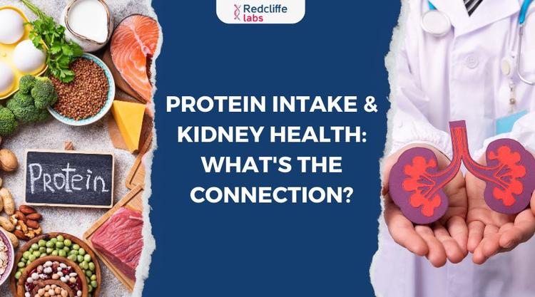 Protein Intake & Kidney Health: What's The Connection?