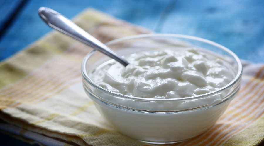Benefits of Eating Curd: Nutrition & Health Uses