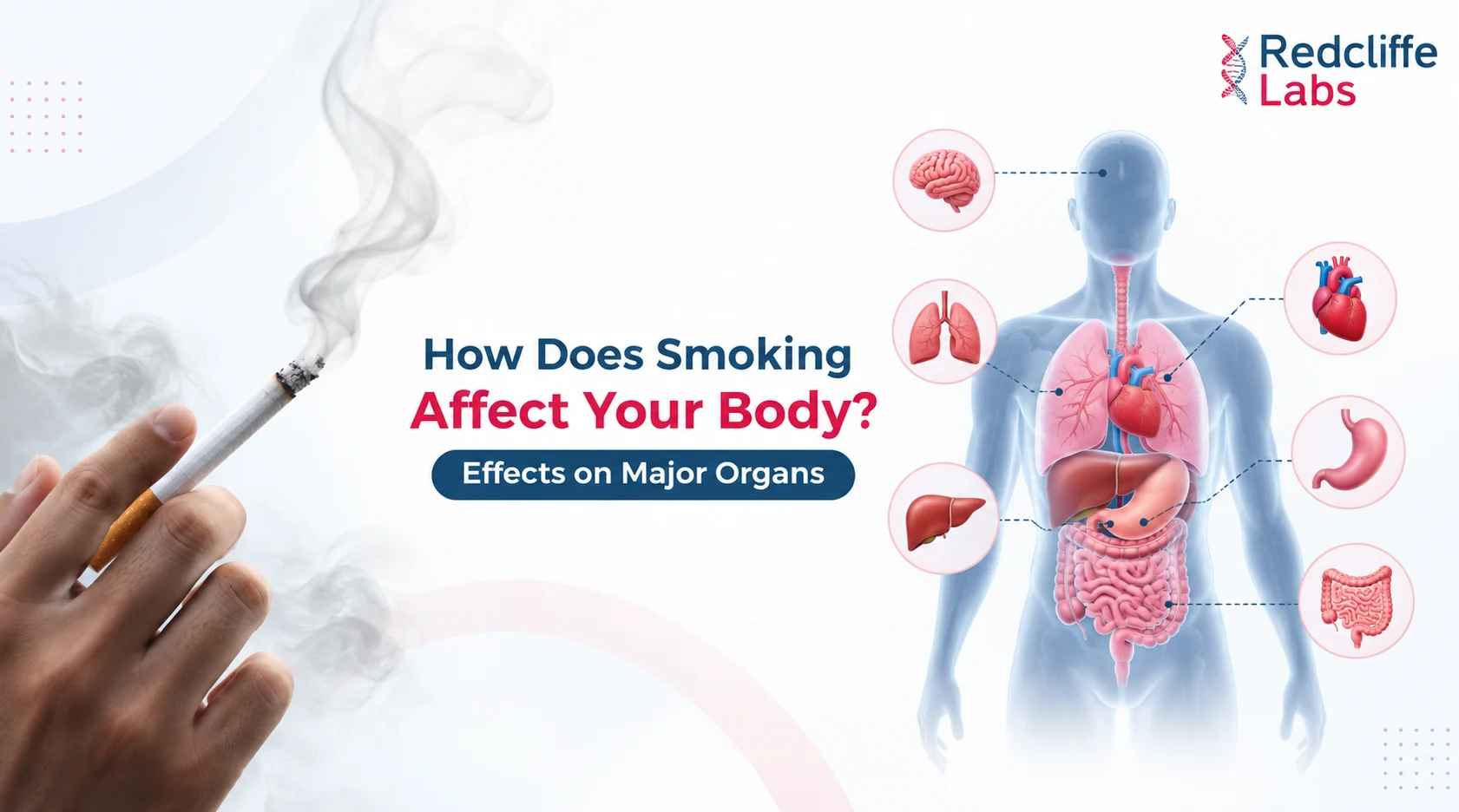 How Does Smoking Affect Your Body? Effects on Major Organs