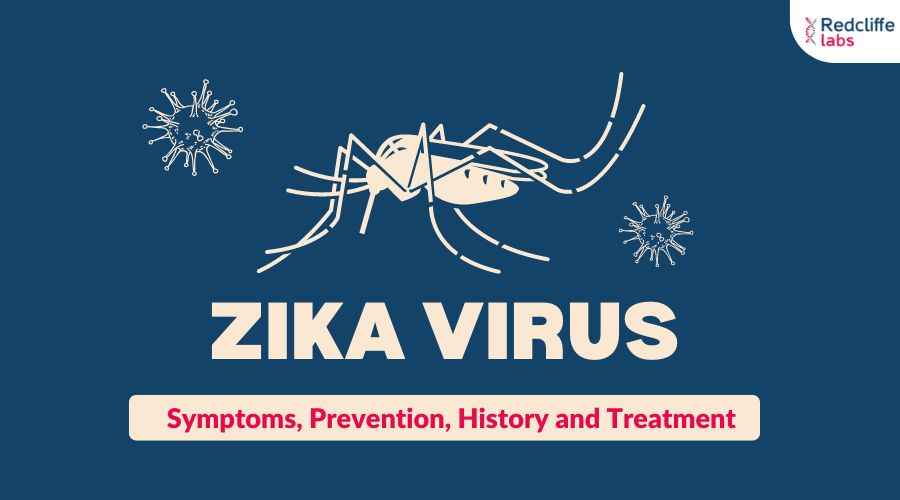 Zika Virus: Symptoms, Prevention, History and Treatment