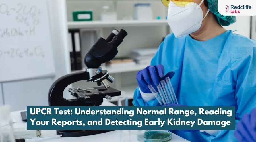 UPCR Test: Understanding Normal Range, Reading Your Reports, and Detecting Early Kidney Damage