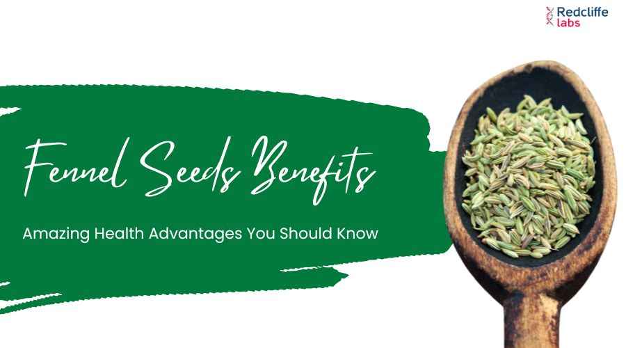 Fennel Seeds Benefits: Amazing Health Advantages You Should Know