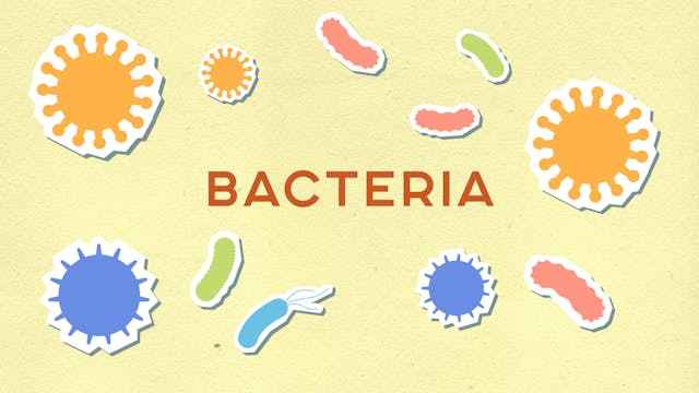 Flesh-Eating Bacteria Spreads at Record Rate in Japan