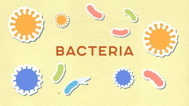 Flesh-Eating Bacteria Spreads at Record Rate in Japan