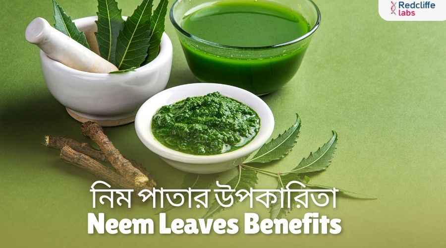 নিম পাতার উপকারিতা: প্রাকৃতিক ওষুধের আশ্চর্য গুণ