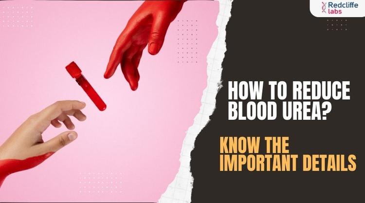 How to Reduce Blood Urea? Know the Important Details