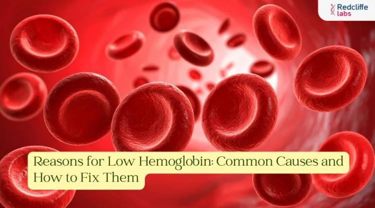 Reasons for Low Hemoglobin: Common Causes and How to Fix Them