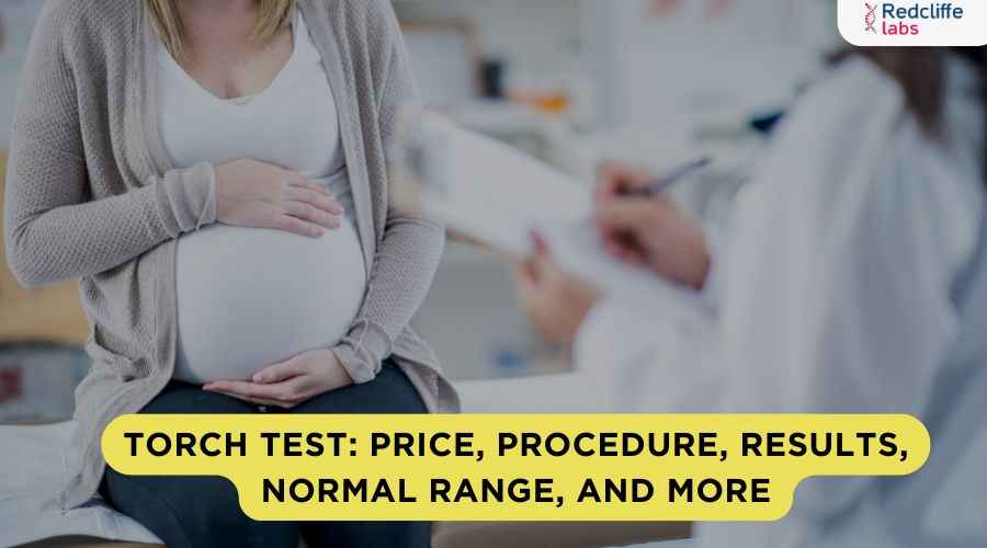 TORCH Test: Price, Procedure, Results, Normal Range, and More