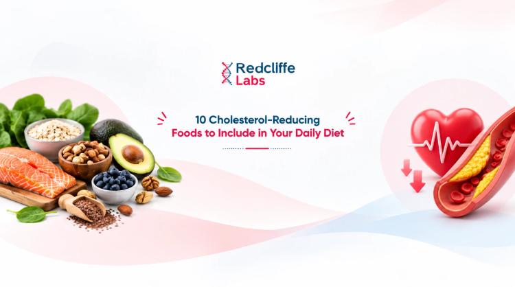 10 Cholesterol-Reducing Foods to Include in Your Daily Diet