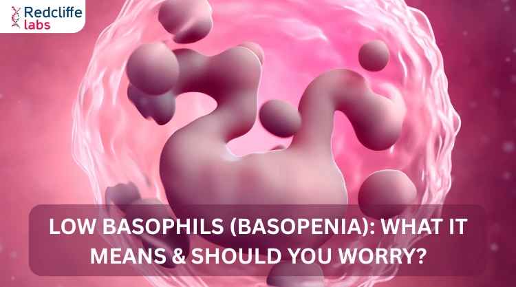 Low Basophils (Basopenia): What It Means & Should You Worry?