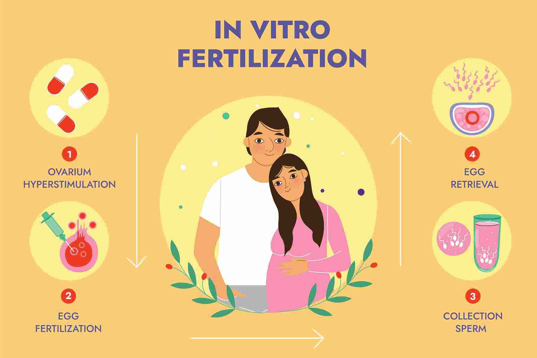 IVF: Understanding the Process, Costs, and Success Rates