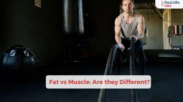 Fat vs Muscle: Are they Different?